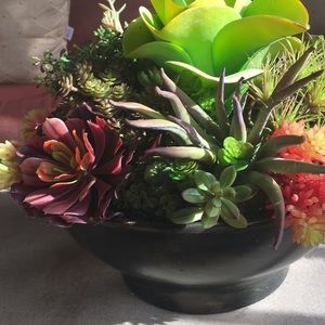 Meet your Posher, Robin